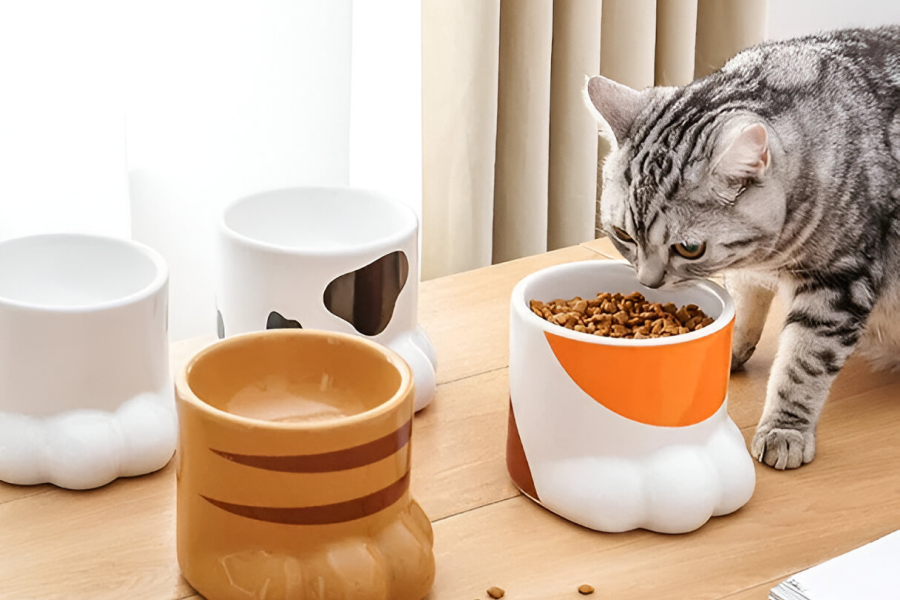 Cat water bowls ceramic
